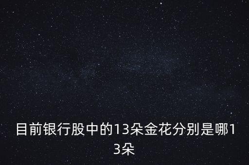 目前銀行股中的13朵金花分別是哪13朵