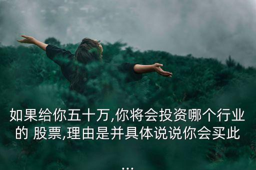 如果給你五十萬,你將會投資哪個行業(yè)的 股票,理由是并具體說說你會買此...