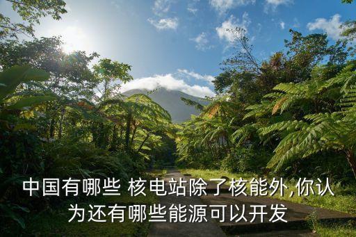 中國(guó)有哪些 核電站除了核能外,你認(rèn)為還有哪些能源可以開發(fā)