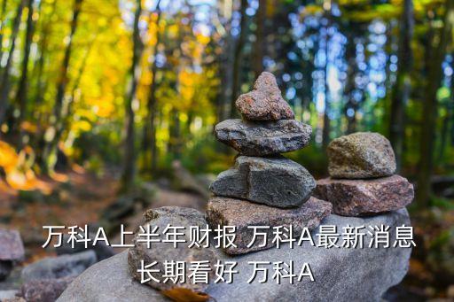  萬科A上半年財報 萬科A最新消息長期看好 萬科A