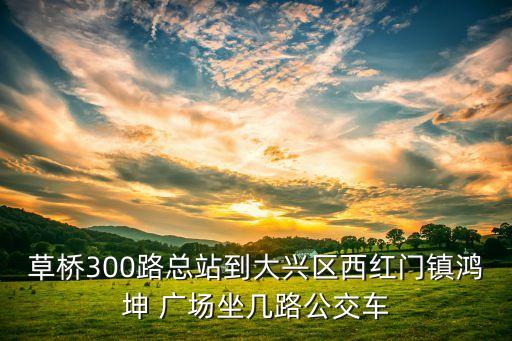 草橋300路總站到大興區(qū)西紅門鎮(zhèn)鴻坤 廣場(chǎng)坐幾路公交車