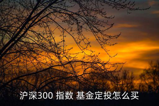 滬深300 指數(shù) 基金定投怎么買(mǎi)