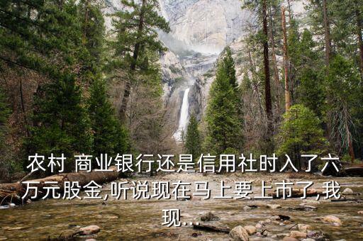  農村 商業(yè)銀行還是信用社時入了六萬元股金,聽說現在馬上要上市了,我現...