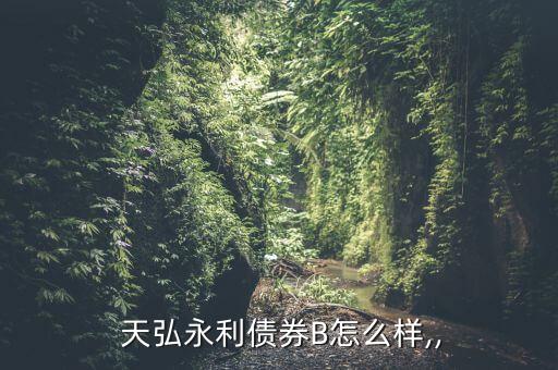  天弘永利債券B怎么樣,,