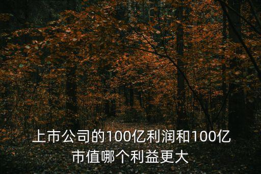  上市公司的100億利潤(rùn)和100億市值哪個(gè)利益更大