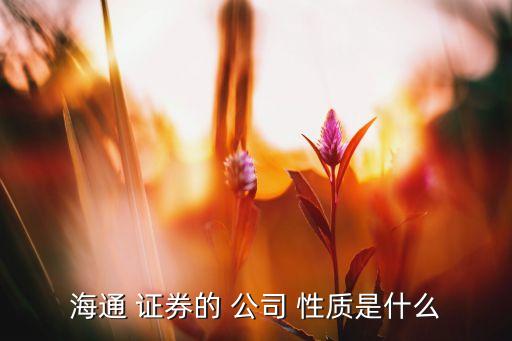 證券公司的性質(zhì)