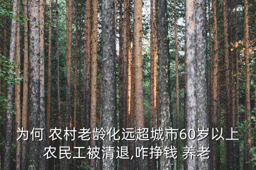 為何 農(nóng)村老齡化遠超城市60歲以上農(nóng)民工被清退,咋掙錢 養(yǎng)老