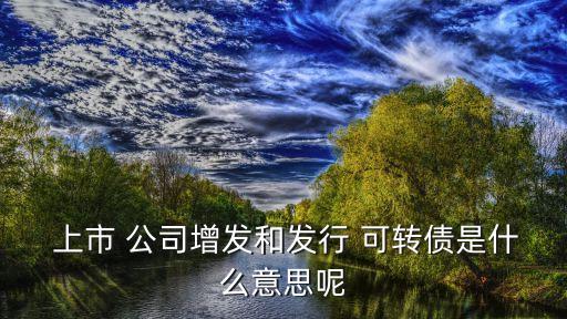 上市公司定向可轉(zhuǎn)債,已審核可轉(zhuǎn)債上市公司名單