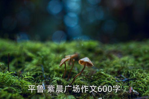 平魯 紫晨廣場作文600字