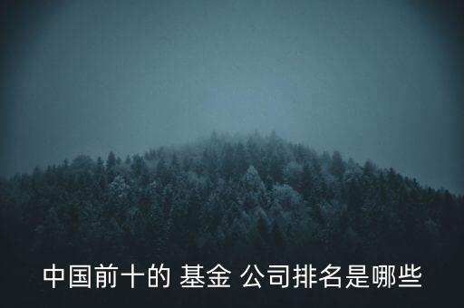 中國(guó)前十的 基金 公司排名是哪些