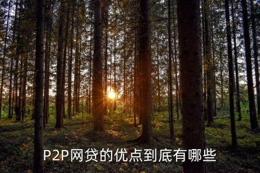 P2P網(wǎng)貸的優(yōu)點(diǎn)到底有哪些