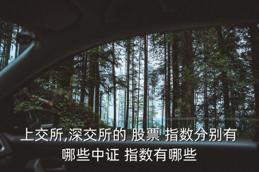 上交所,深交所的 股票 指數(shù)分別有哪些中證 指數(shù)有哪些