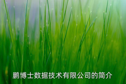 鵬博士數(shù)據(jù)技術(shù)有限公司的簡(jiǎn)介