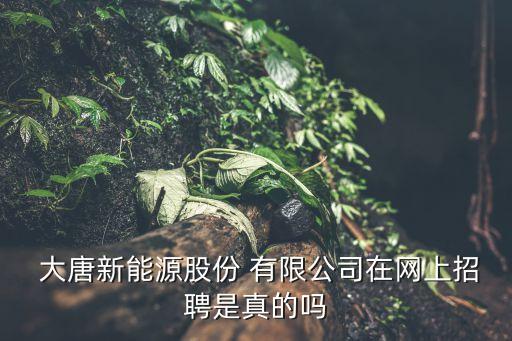  大唐新能源股份 有限公司在網(wǎng)上招聘是真的嗎