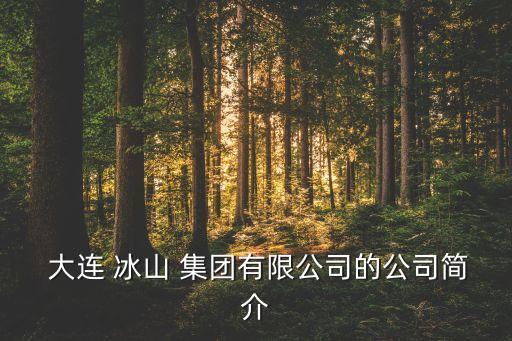  大連 冰山 集團(tuán)有限公司的公司簡(jiǎn)介