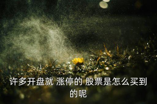 股票漲停誰買走了,一只股票漲停后第二天怎么走