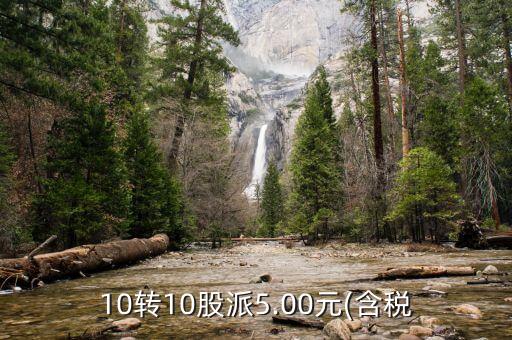 10轉(zhuǎn)10股派5.00元(含稅