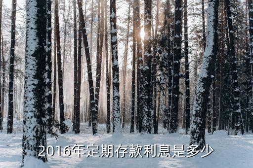 2016年定期存款利息是多少