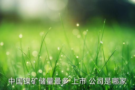 鎳礦上市公司一覽,中國擁有鎳礦最多的上市公司