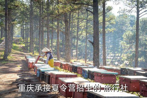 重慶承接夏令營(yíng)招生的 旅行社