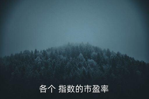 各個 指數(shù)的市盈率