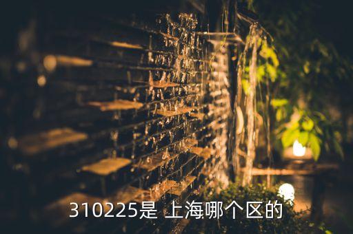 310225是 上海哪個(gè)區(qū)的