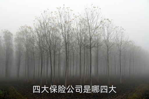 四大保險公司是哪四大