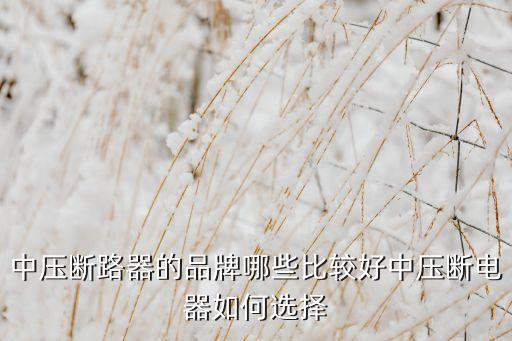 長(zhǎng)沙華自電氣設(shè)備有限公司,長(zhǎng)沙普洛電氣設(shè)備有限公司