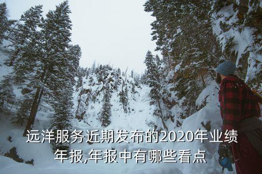 遠洋資本是什么公司,中糧資本是什么公司