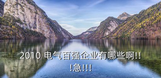 2010 電氣百強(qiáng)企業(yè)有哪些啊!!!急!!!