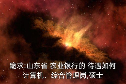 跪求:山東省 農(nóng)業(yè)銀行的 待遇如何計算機、綜合管理崗,碩士