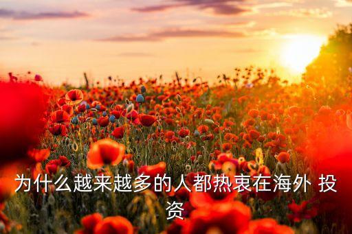 為什么越來(lái)越多的人都熱衷在海外 投資