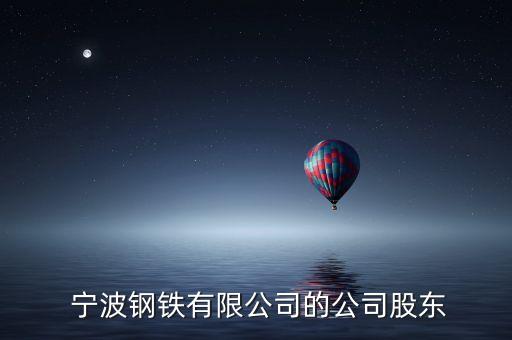  寧波鋼鐵有限公司的公司股東