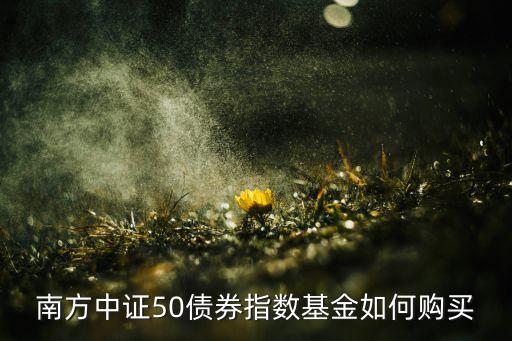 南方中證50債券指數(shù)基金如何購買