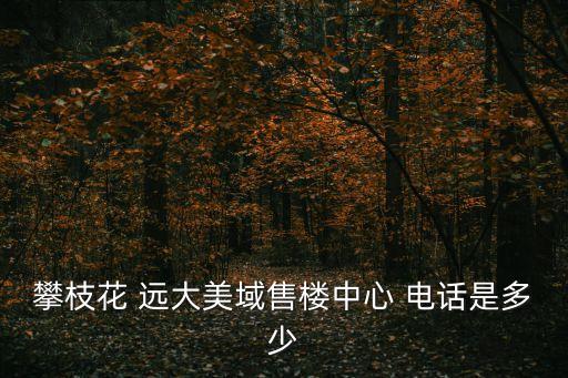 攀枝花 遠(yuǎn)大美域售樓中心 電話是多少