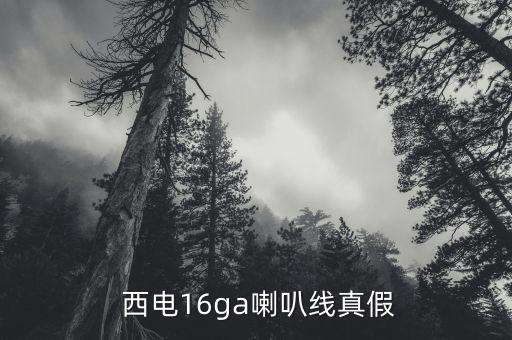  西電16ga喇叭線真假