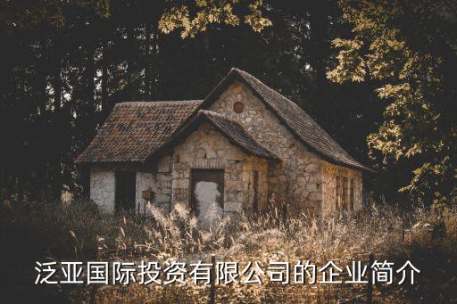 泛亞國(guó)際投資有限公司的企業(yè)簡(jiǎn)介