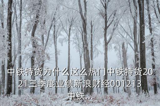 中鐵特貨為什么這么熱門中鐵特貨2021三季度業(yè)績新浪財(cái)經(jīng)001213中鐵...