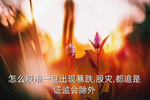 怎么股市一旦出現(xiàn)暴跌,股災(zāi),都追是證監(jiān)會(huì)除外