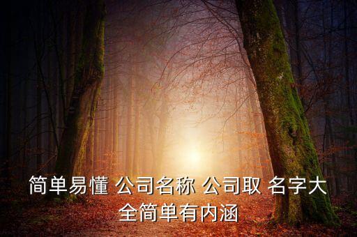 簡單易懂 公司名稱 公司取 名字大全簡單有內(nèi)涵