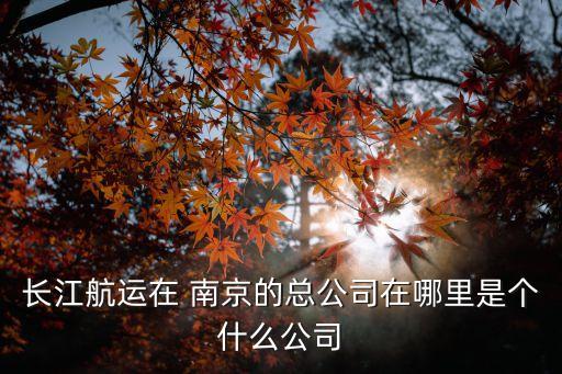 長(zhǎng)江航運(yùn)在 南京的總公司在哪里是個(gè)什么公司