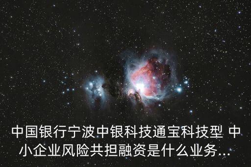 中國(guó)銀行寧波中銀科技通寶科技型 中小企業(yè)風(fēng)險(xiǎn)共擔(dān)融資是什么業(yè)務(wù)...