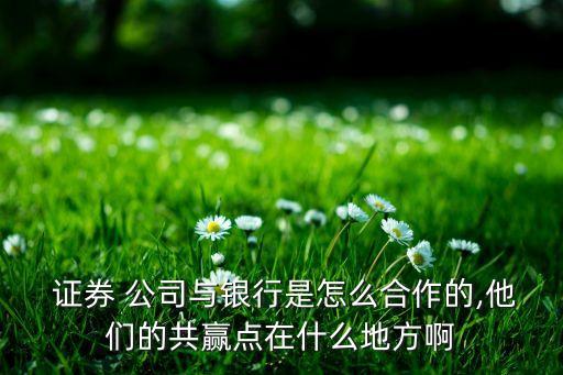  證券 公司與銀行是怎么合作的,他們的共贏點在什么地方啊