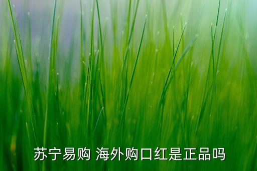 蘇寧海外公司,蘇寧公司存在的問(wèn)題及對(duì)策