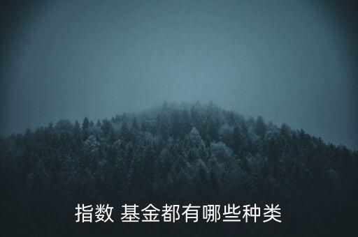 指數(shù) 基金都有哪些種類