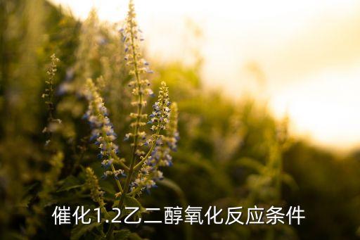 催化1.2乙二醇氧化反應條件