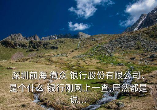 深圳前海 微眾 銀行股份有限公司、是個(gè)什么 銀行剛網(wǎng)上一查,居然都是說...