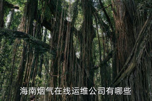 海南煙氣在線運(yùn)維公司有哪些