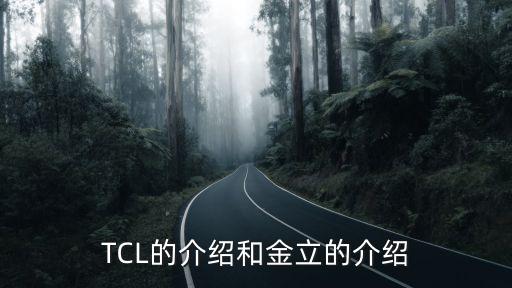 TCL的介紹和金立的介紹