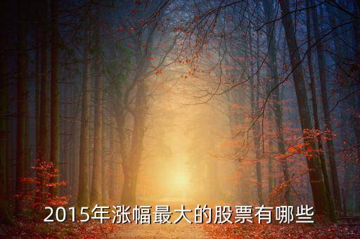 2015年漲幅最大的股票有哪些